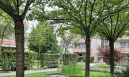 Gemeinschaftsgarten mit Bäume | © Caritas München und Oberbayern